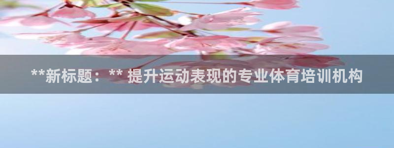 焦点娱乐官方网站下载手机版