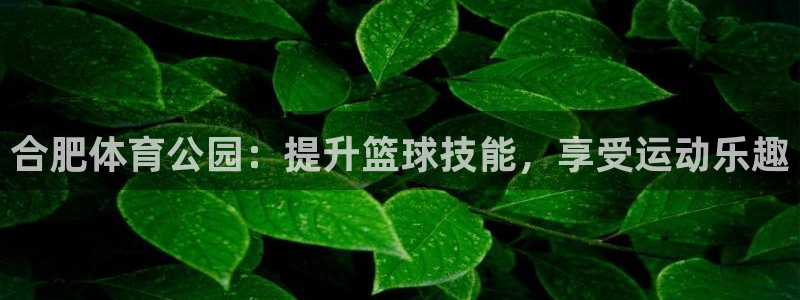 焦点娱乐平台客服热线号码：合肥体育公园：提升篮球技能