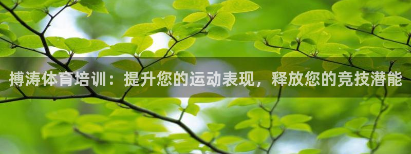 焦点娱乐官网下载安装手机版苹果：搏涛体育培训：提升您